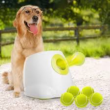 Auto Ball Thrower for Dogs