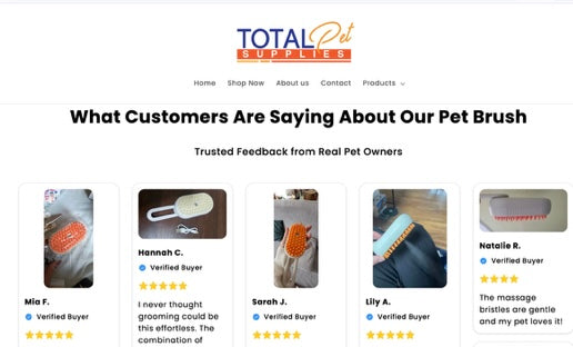 Cat Steam Brush Review