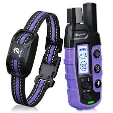 Rechargeable Dog Training Collar