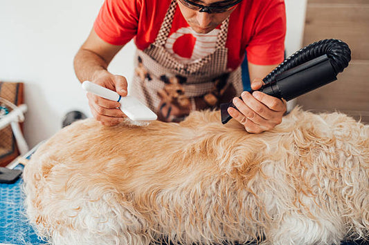 Dog Grooming Brush With Steam