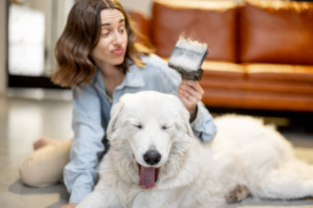 Dog Steam Grooming Brush