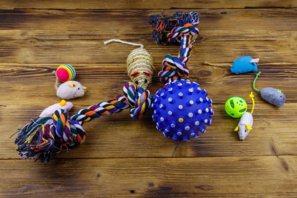 Pet Toys