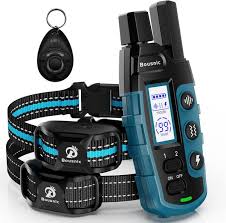 Dog training collar with remote
