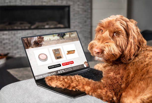 best discount pet supplies online