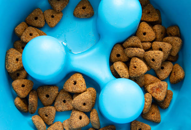 slow feeding dog bowl