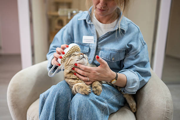 How Does a Steam Brush Work