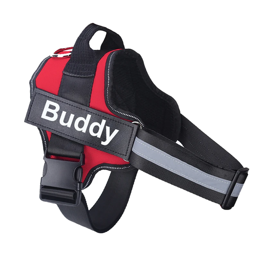 dog harness