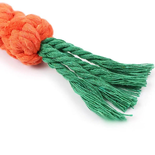 Durable Carrot Dog Chew Toy