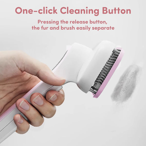 Cleaning Button