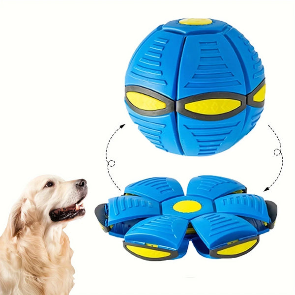 Magic Fly Ball Pet Toy