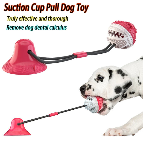Fun Suction Dog Ball Challenge