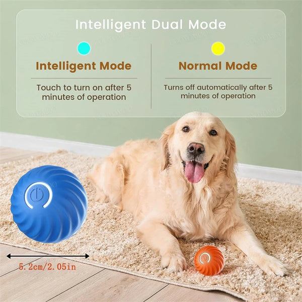 Bouncy Buddy Pet Play Ball