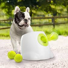 Automatic ball thrower for dog