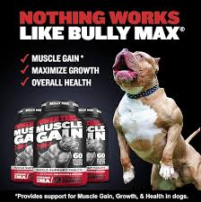 Bully Max
