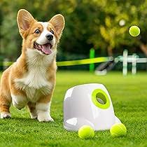Dog Auto Ball thrower