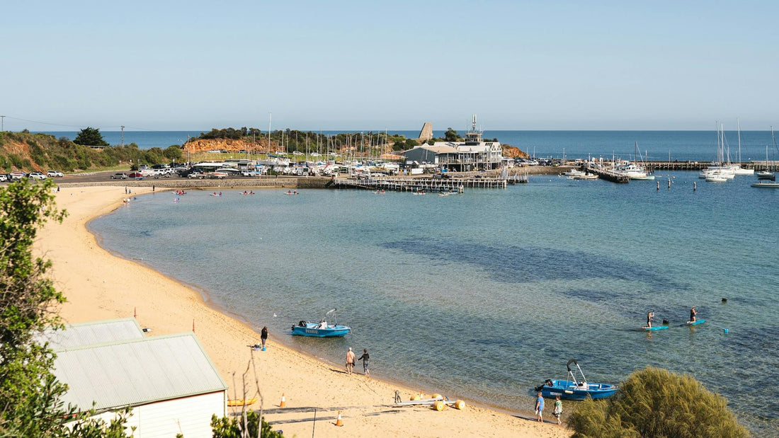 Pet Supplies Mornington