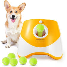 Auto Ball Launcher for Dogs
