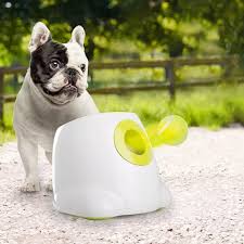 Automatic Dog Ball Thrower