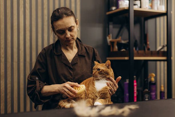 Cat Deshedding Brush