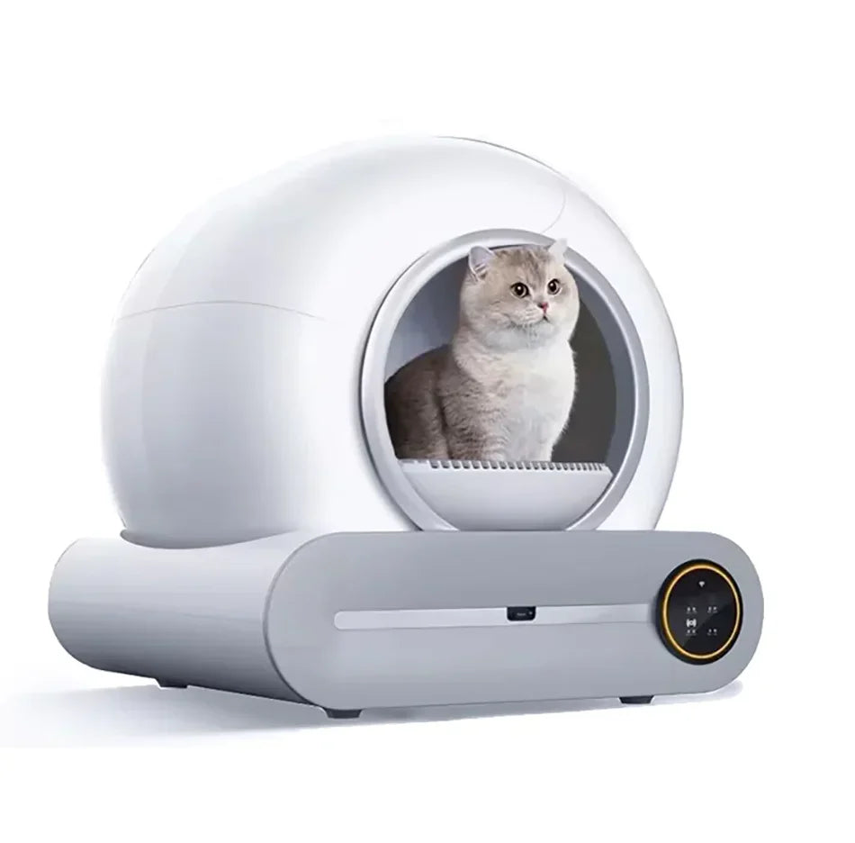 Best Cat Litter Box for Indoor Cats