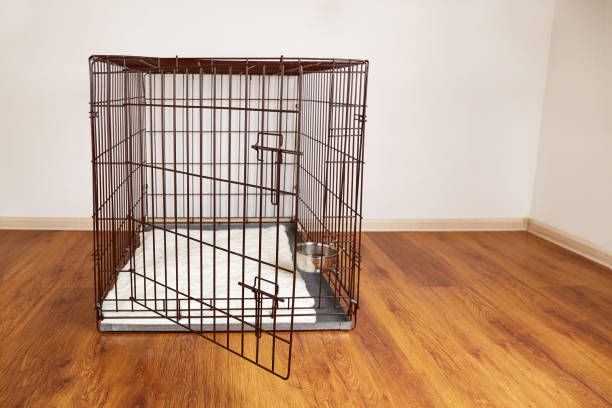 Collapsible Dog Crate