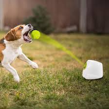 Dog Ball Throwing Machine