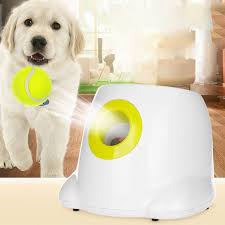 Dog Ball Machine
