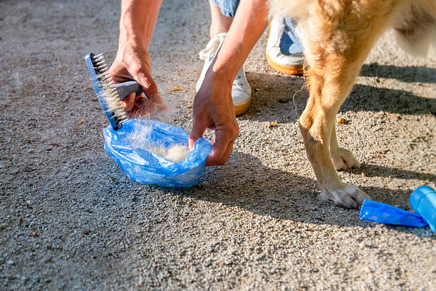 Dog Deshedding Brush