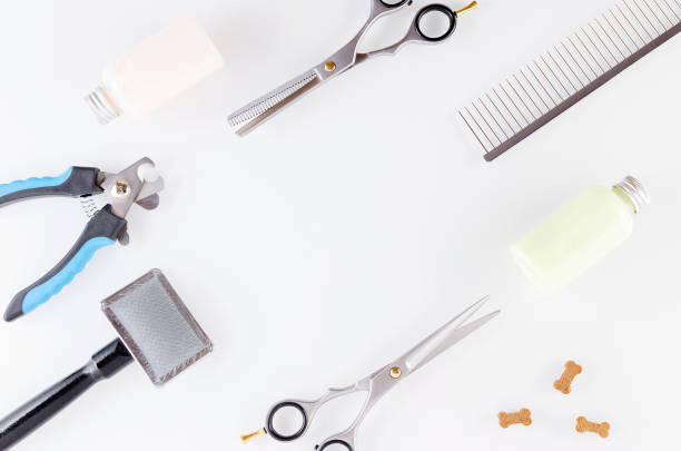 Best Dog Grooming Tools Australia