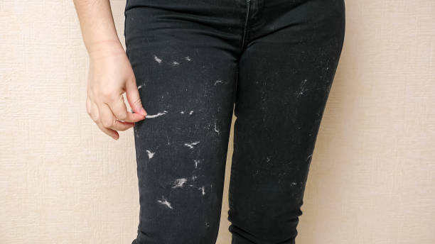 How to Remove Dog Hair from Clothes