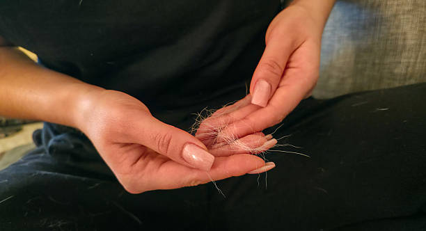 dog shedding after grooming is it normal