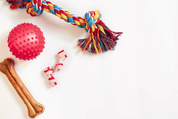 Interactive Dog Toys