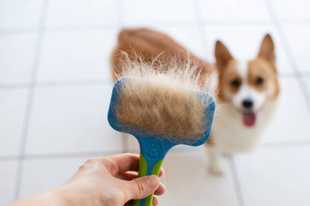 Dog Shedding Brush
