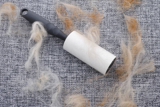 Lint Roller Alternatives for Dog Hair