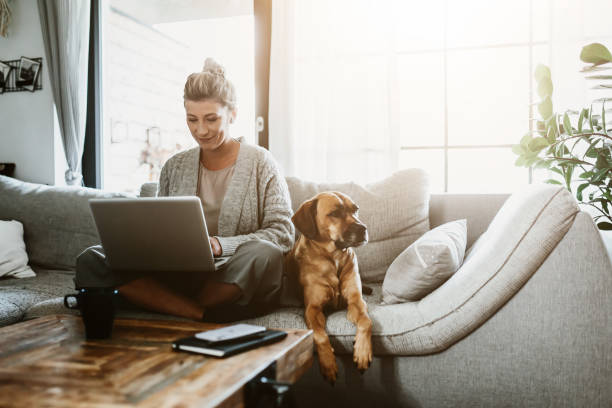 Online Pet Store in Australia