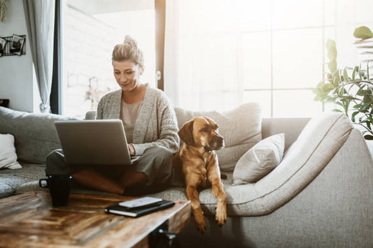 Online Pet Store in Australia