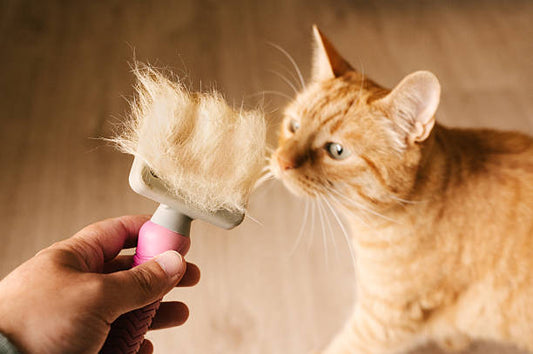 Pet Stem Brush