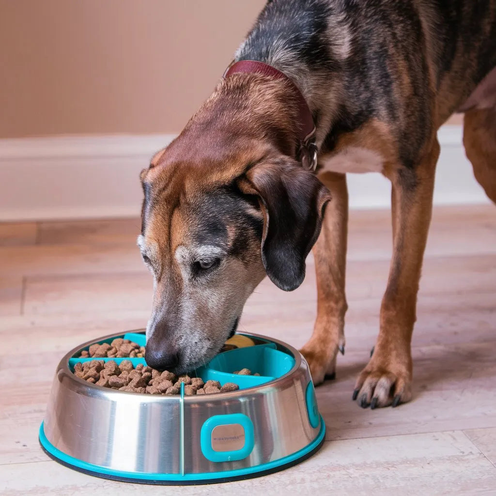 Pet Supplies Australia