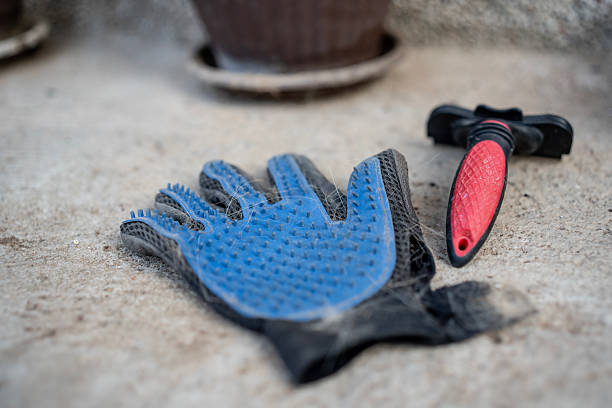 Best Grooming Tools for Shedding Pets