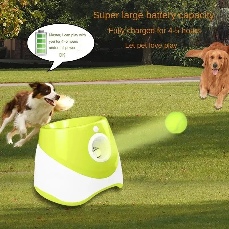 Dog toys Australia – durable chew, fetch and interactive toys for dogs