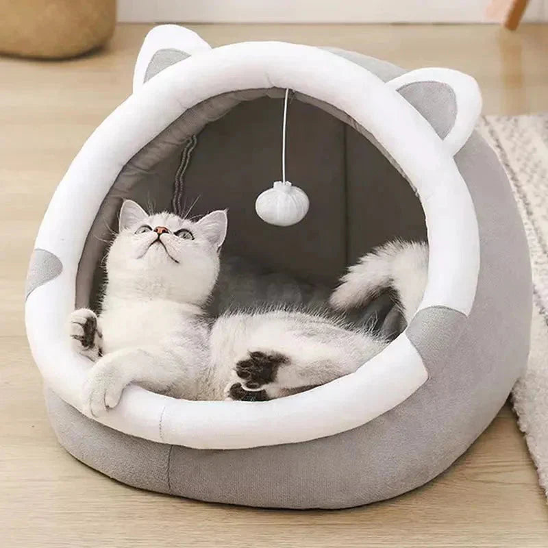 Puppy and kitten beds Australia – soft cosy beds for young puppies and kittens