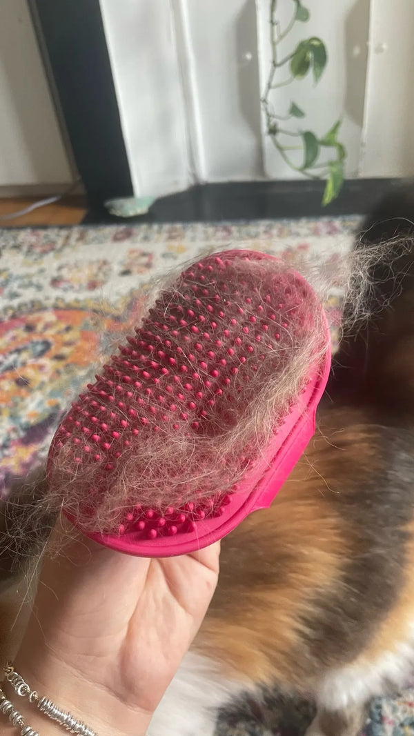 Gentle Pet Care Comb