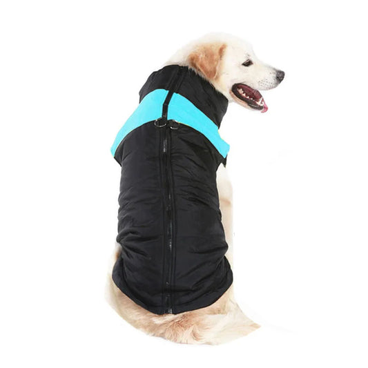 Dog Clothing