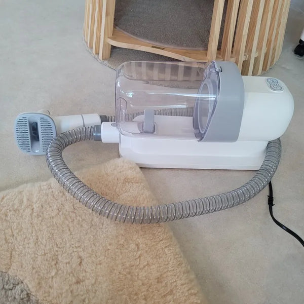 Pet Hair Cleanup Buddy