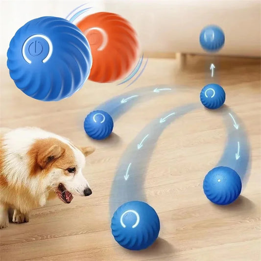 Bouncy Buddy Pet Play Ball
