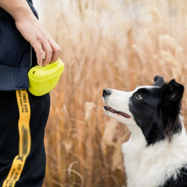 Dog Training Treat Waist Bag