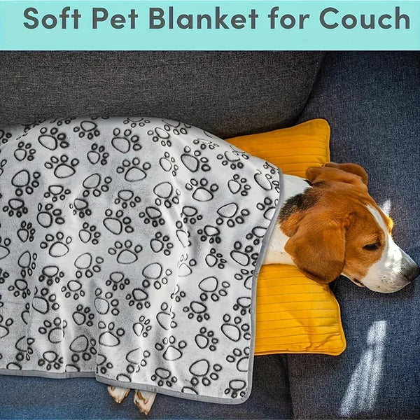 Soft Paws Dog Blanket